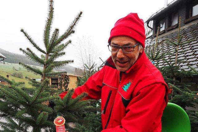 Lenzkircher verkauft lokale Weihnachtsbäume ohne Pestizide