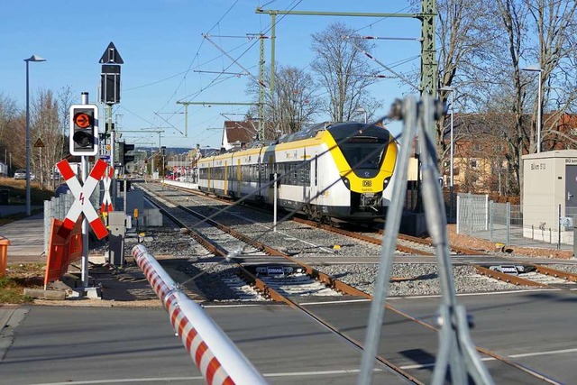 Ein solcher Zug, der gerade den Bahnho...en Namen &#8222;Stadt Lffingen&#8220;  | Foto: Martin Wunderle