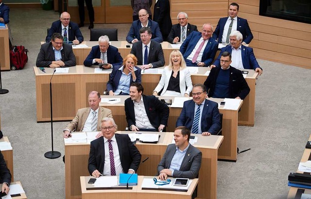 Die AfD-Fraktion im Landtag (hier noch...inzwischen ausgetretenen Abgeordneten)  | Foto: Marijan Murat (dpa)