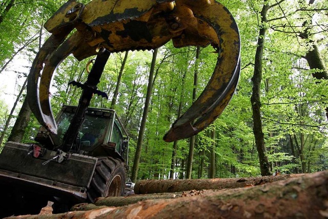 Die Holzernte bringt in Friesenheim 20...lem der Klimawandel belastet den Wald.  | Foto: Bastian Henning