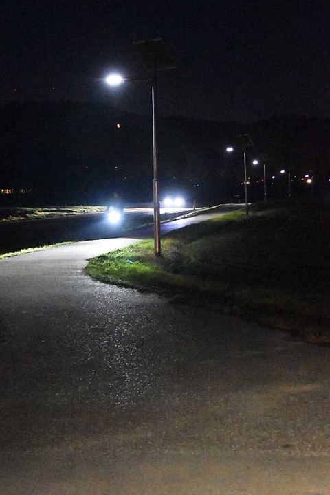 Rund 400 Radler nutzen den Radweg zwis...Tag. Auch nachts sind viele unterwegs.  | Foto: Sebastian Krger