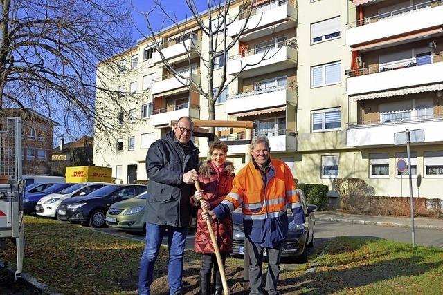 Ein Nussbaum als Zeichen der Dankbarkeit