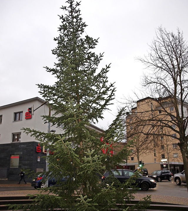 Der von der Stadt gestellte Baum steht...tsteil besser an  als der im Vorjahr.   | Foto: Paul Schleer