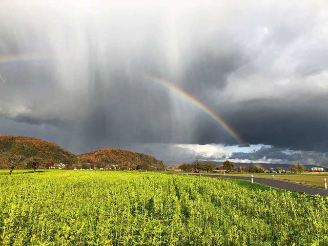 Regenbogen zwischen Degerfelden und Nollingen.  | Foto: Gnter Bhler