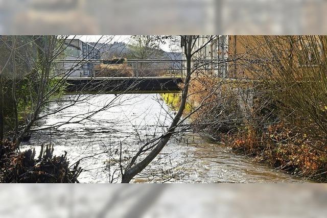 Kritik an Hochwasserschutz-Plnen