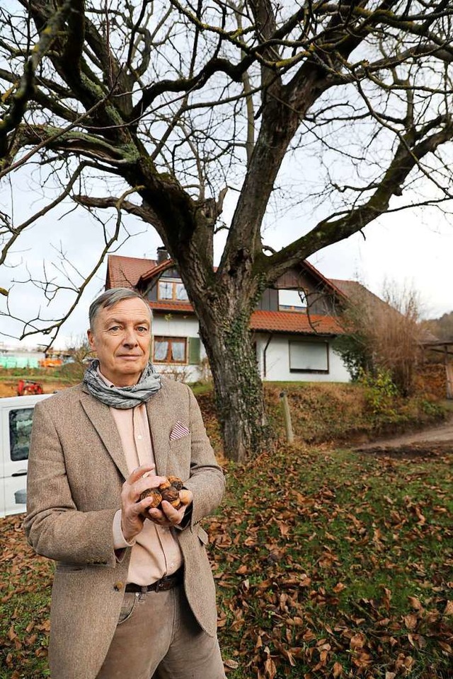 Thomas Honickel mchte auch in Zukunft...Walnsse von seinem Nussbaum genieen.  | Foto: Christoph Breithaupt