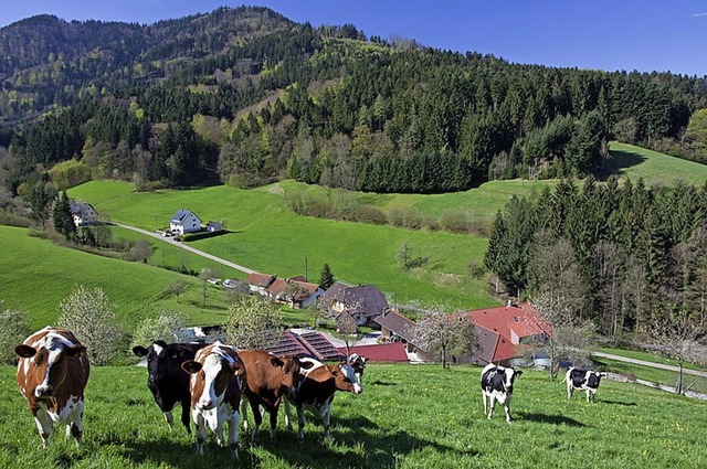 Liegt inmitten von viel Schwarzwaldidylle &#8211;  der Schtzlehof.   | Foto: privat