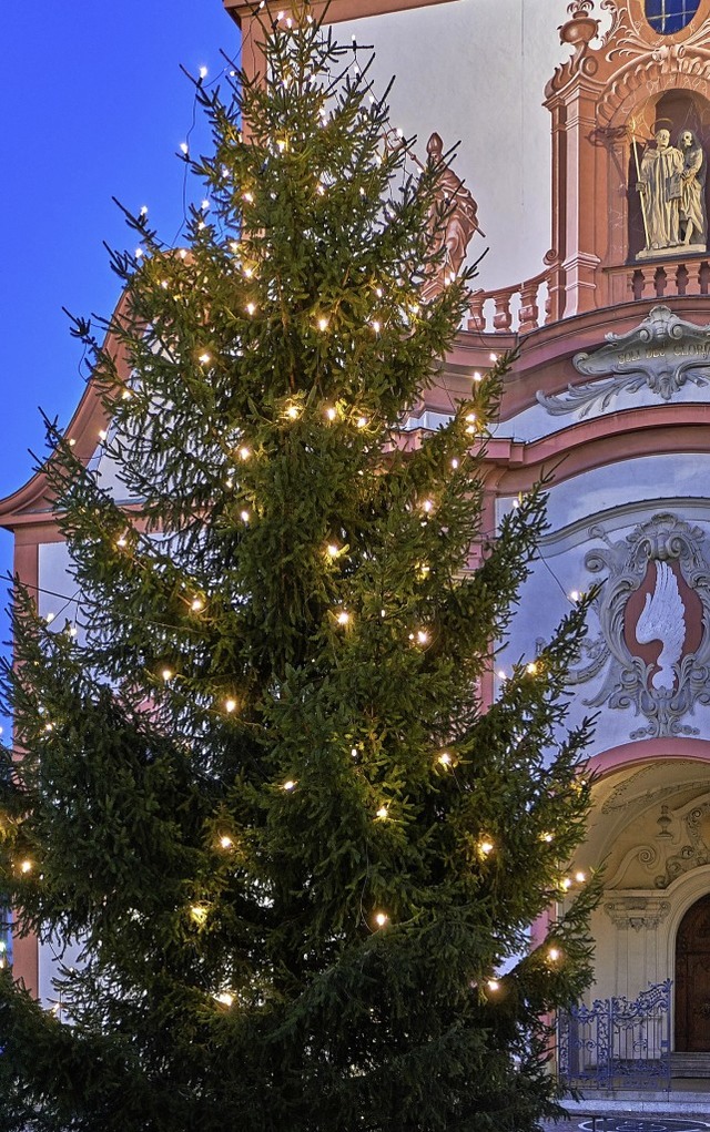 Der Weihnachtbaum vor dem Bad Sckinge...vaten Garten und misst etwa 20 Meter.   | Foto:  Julia Becker