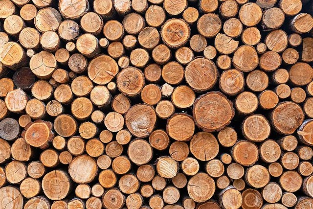 Weil der Holzpreis gefallen ist, ist der Waldbesitz des Landes weniger wert.  | Foto: Myk  (stock.adobe.com)