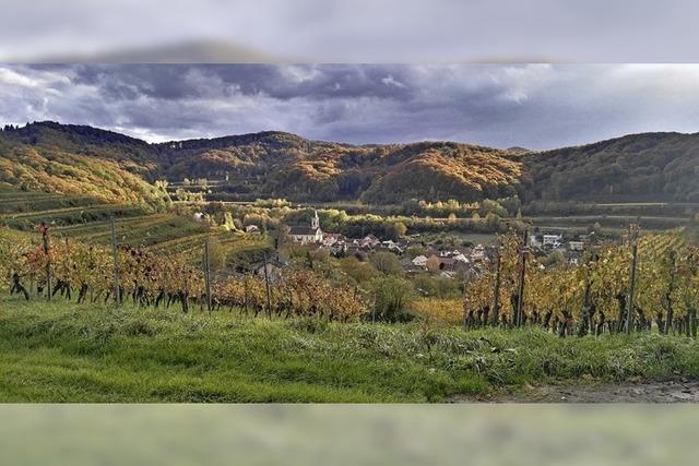 Weinbau im Naturschutzgebiet