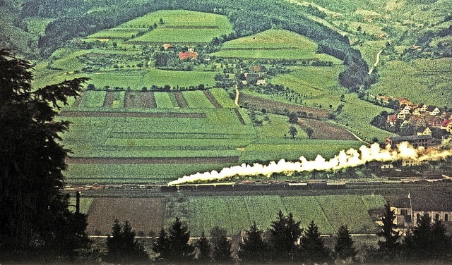 Das Bild zeigt den Dampfzug auf seiner letzten Fahrt 1963 nach Elzach.  | Foto: privat