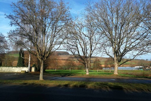 Die Zufahrt zum Neubaugebiet in Egring...hen, die  Bume rechts bleiben stehen.  | Foto: Victoria Langelott