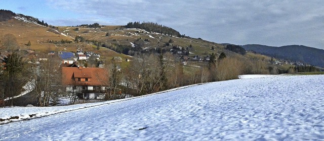 10000 Quadratmeter sollen bald fr neu...er in Innerlehen zur Verfgung stehen.  | Foto: Sebastian Barthmes