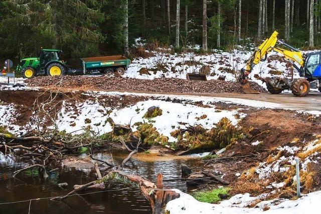 Die durch einen Biber geschdigte Strae im Schwarzwald wird saniert