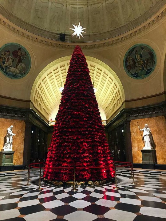 Ein Baum fast wie in New York Reise Badische Zeitung