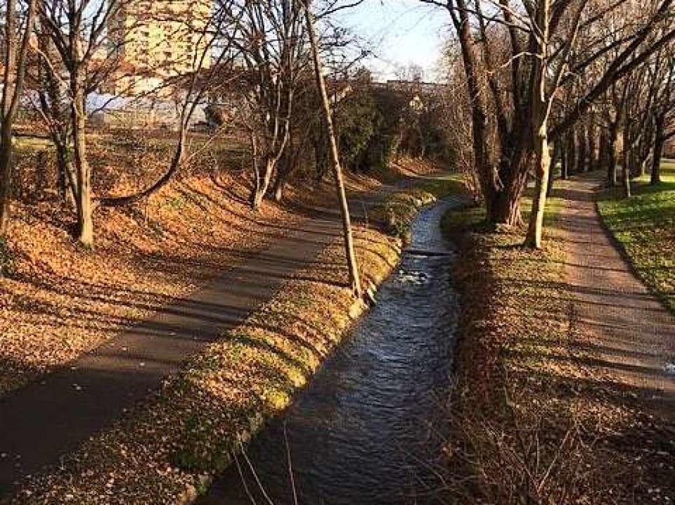 Durch Weingarten fliet der Dorfbach.  | Foto: Sarah Rondot
