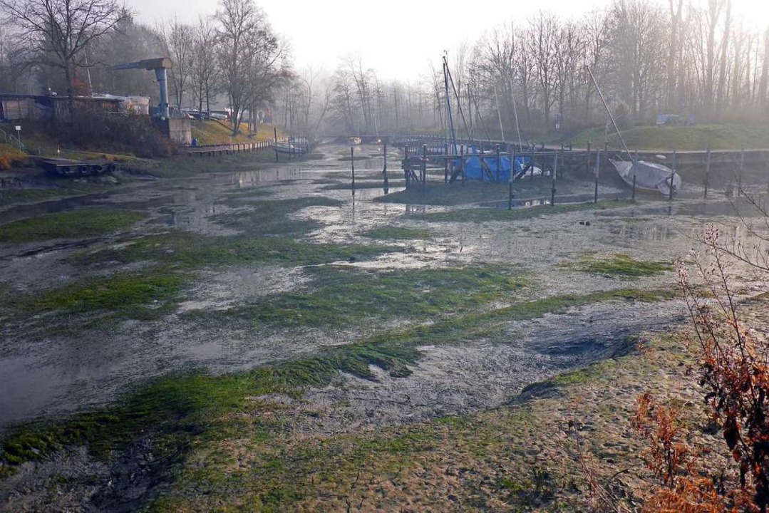 Wasserstand Am Altrhein Steigt Nach Drastischem Absinken