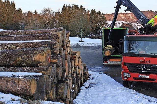 Holz wird nach China verschifft