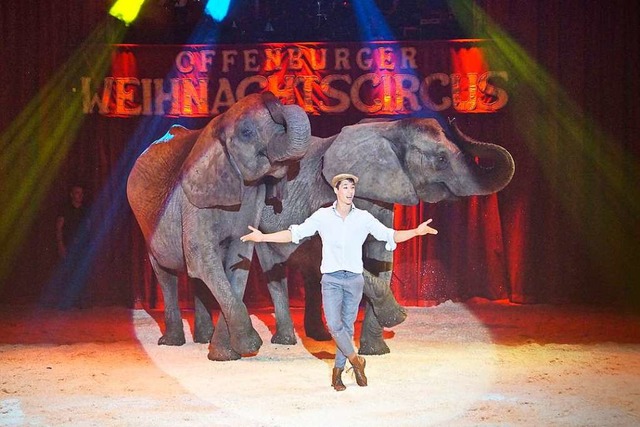 Zirkuskunst von Ren Casselly und seinen Elefanten  | Foto: Christine Storck-Haupt