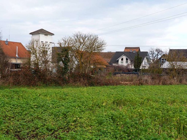 Beim &#8222;Steingssle&#8220; in Gnd...waltung Acker- in Bauland umzuwandeln.  | Foto: Christine Weirich