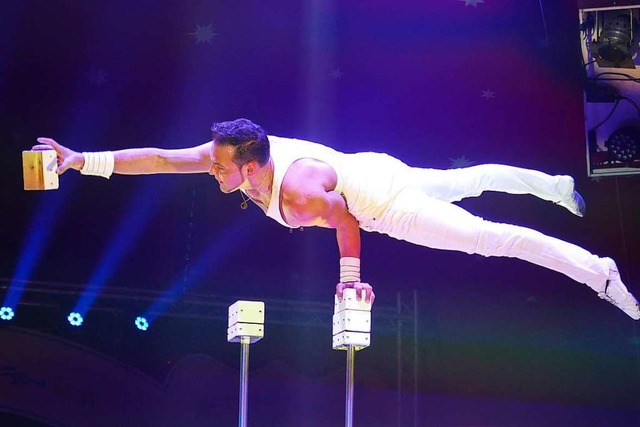 Weltklasseartist Robert Lagroni im Handstand auf zwei Stangen.  | Foto: Martina David-Wenk