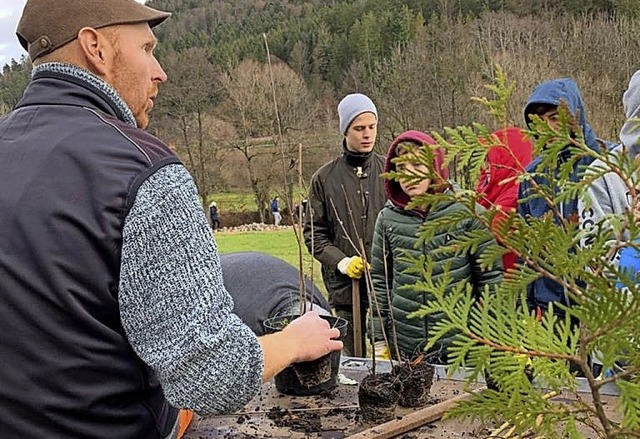 Benjamin Kohl pflanzt mit Schlern Weiden.   | Foto: Stadt St. Blasien