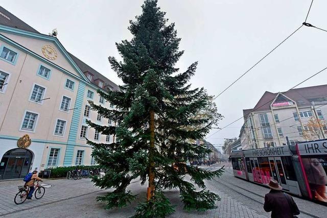 Warum der Weihnachtsbaum doch nicht in Freiburg erfunden wurde