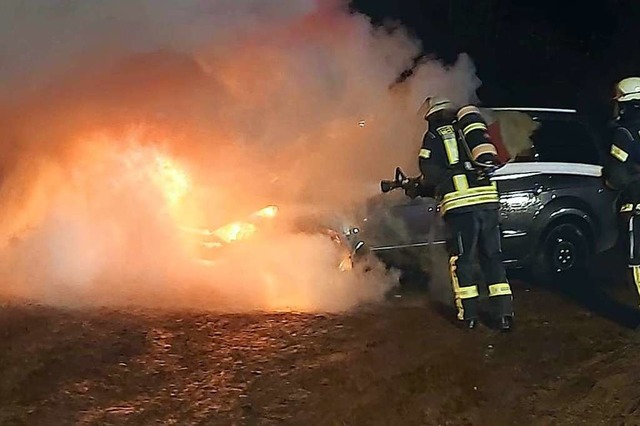 Die Wehrer Feuerwehr war am Heiligen A...schen Wehr und Bergalingen im Einsatz.  | Foto: Feuerwehr Wehr