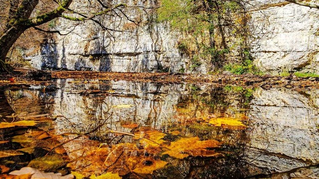 Wutach Fotografien: Hier der Amselfelsen im goldenen Herbstlicht.  | Foto: Andreas Frber, Gabriel Schropp