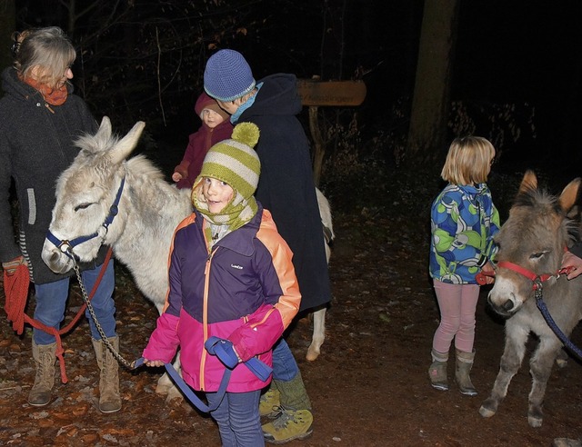 Die Esel sind bei der Winterwanderung ...n sie den Fhrzgel bernehmen drfen.  | Foto: Benedikt Sommer