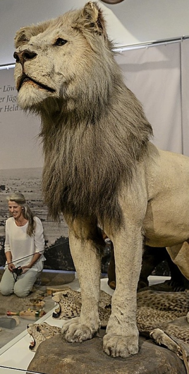 Der Lwe im Museum im Ritterhaus   | Foto: Axel Bleyer