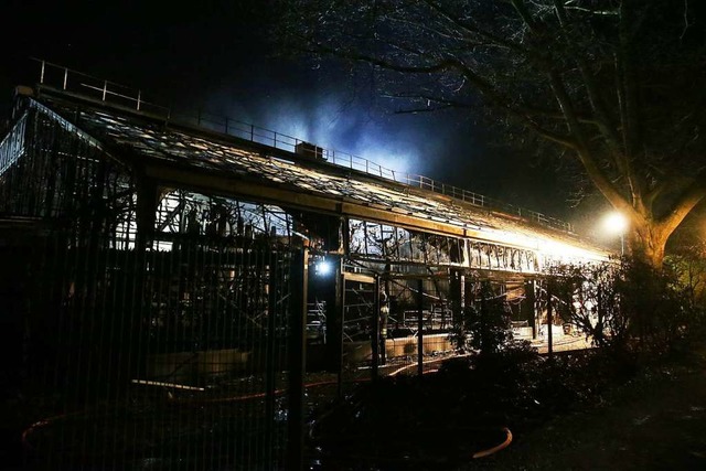 Das Affenhaus des Krefelder Zoos nach dem Brand in der Silvesternacht.  | Foto: David Young (dpa)