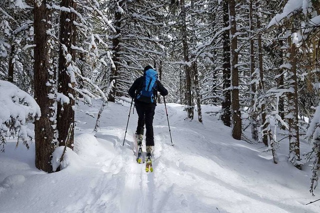 Eine Skitour zum Feldberg ist ein Naturerlebnis (Symbolbild).  | Foto: Jannik Jrgens