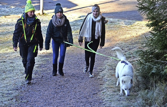 Bergauf mit einer Hundestrke &#8211; ...er (links) begleitet die Huskey-Tour.   | Foto: Christiane Sahli