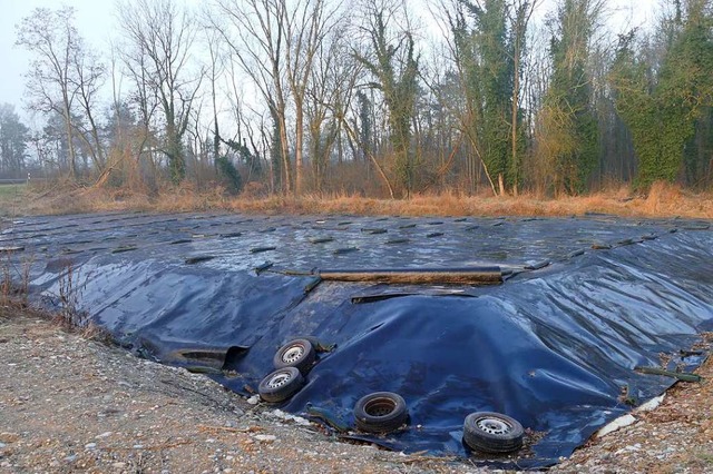 Unter der schwarzen Folie liegt in Nac...er A 5 mit Knterich belasteter Boden.  | Foto: Victoria Langelott