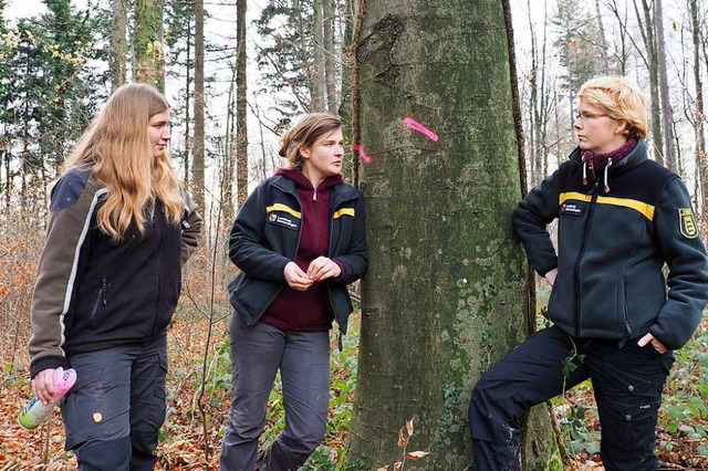 Immer mehr Frauen haben den Wald und d...omas (von links) inspizieren das Holz.  | Foto: Michael Haberer