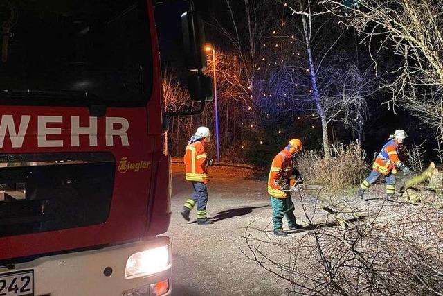 Biber sorgt für Feuerwehreinsatz in Laufenburg