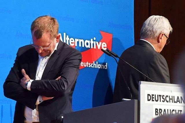 AfD Baden-Wrttemberg beruft Sonderparteitag wegen Fhrungskrise ein