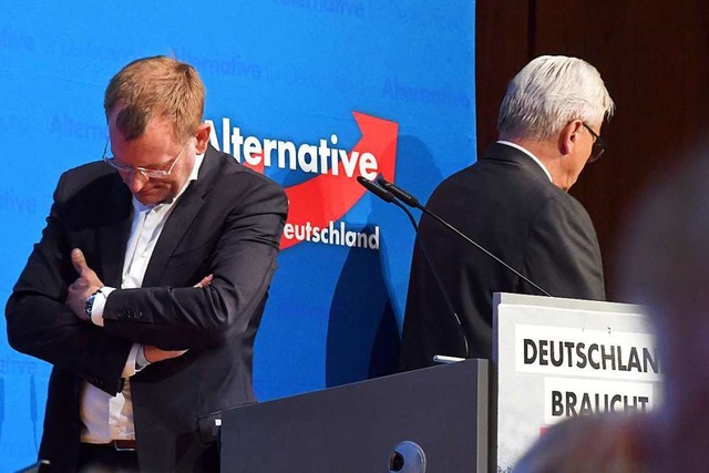 Dirk Spaniel (links) und Parteichef Be...el sind tief zerstritten. (Archivbild)  | Foto: Uli Deck (dpa)