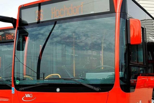 Busse in Hochdorf fahren bis Ende Juli auf Umwegen