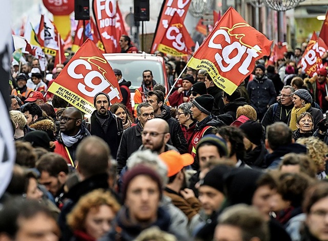 Grodemonstration in der Stadt Lille  | Foto: FRANCOIS LO PRESTI (AFP)