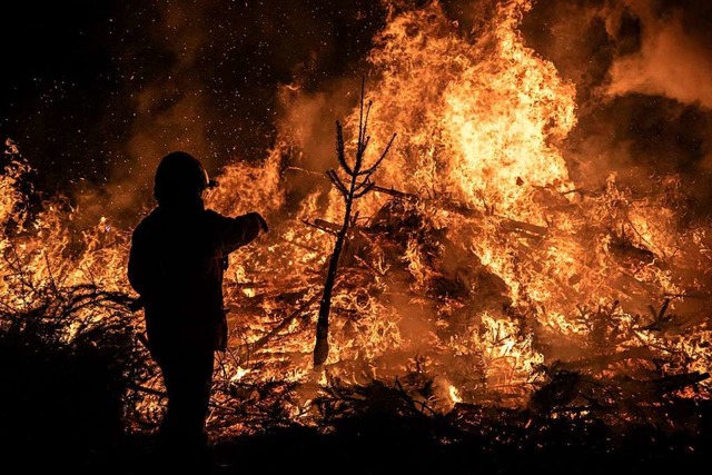 Die rund 900 eingesammelten Weihnachtsbume brennen.  | Foto: Hubert Gemmert