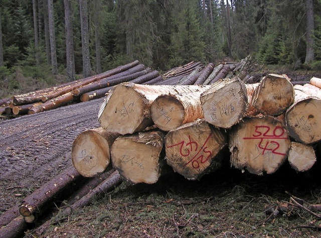 Die Holzernte geht auch im Winter weiter, wenn es das Wetter zulsst.   | Foto: Karl Meister