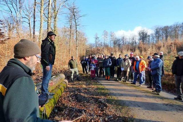 Im Markgrflerland sinkt das Interesse an Holzversteigerungen