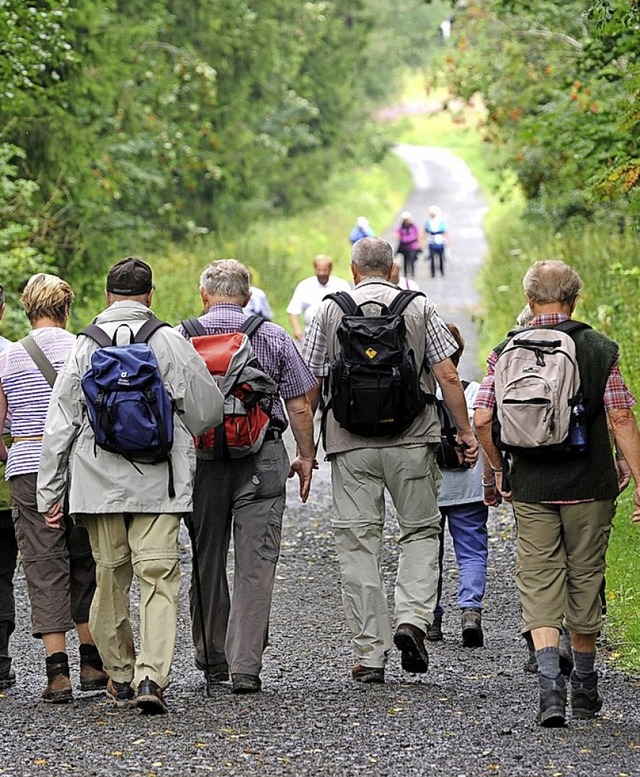 Wandern gehrt zu den Angeboten der Naturfreunde.   | Foto: Uwe Zucchi (dpa)