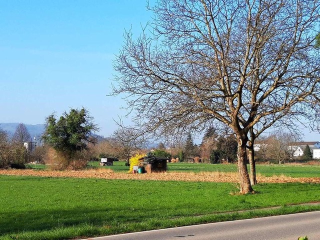 Hier soll das neue Wohngebiet Kapellenbach-Ost entstehen.  | Foto: Verena Pichler