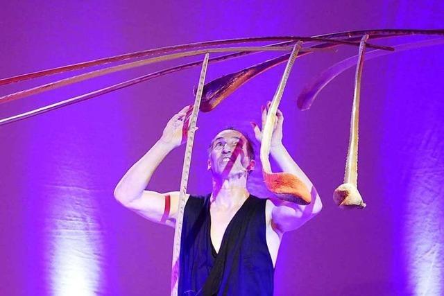 Fotos: 1. Grenzenloses Neujahrsvariet in Eimeldingen