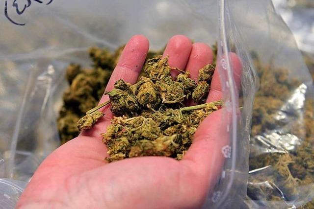 Polizei stellt 1,4 Kilogramm Marihuana in Freiburg sicher