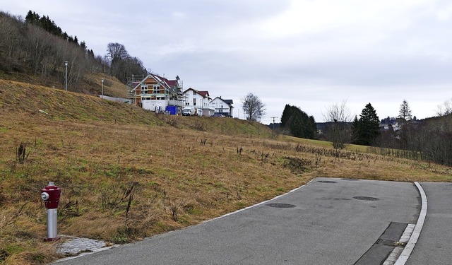 Im Niederdorf wird der zweite Bauabsch...nt. Doppelhuser wird es nicht geben.   | Foto: Ralf Morys