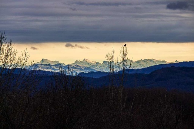 Die Schweizer Alpen, von Grenzach-Wyhlen aus gesehen.  | Foto: Leander Neumann